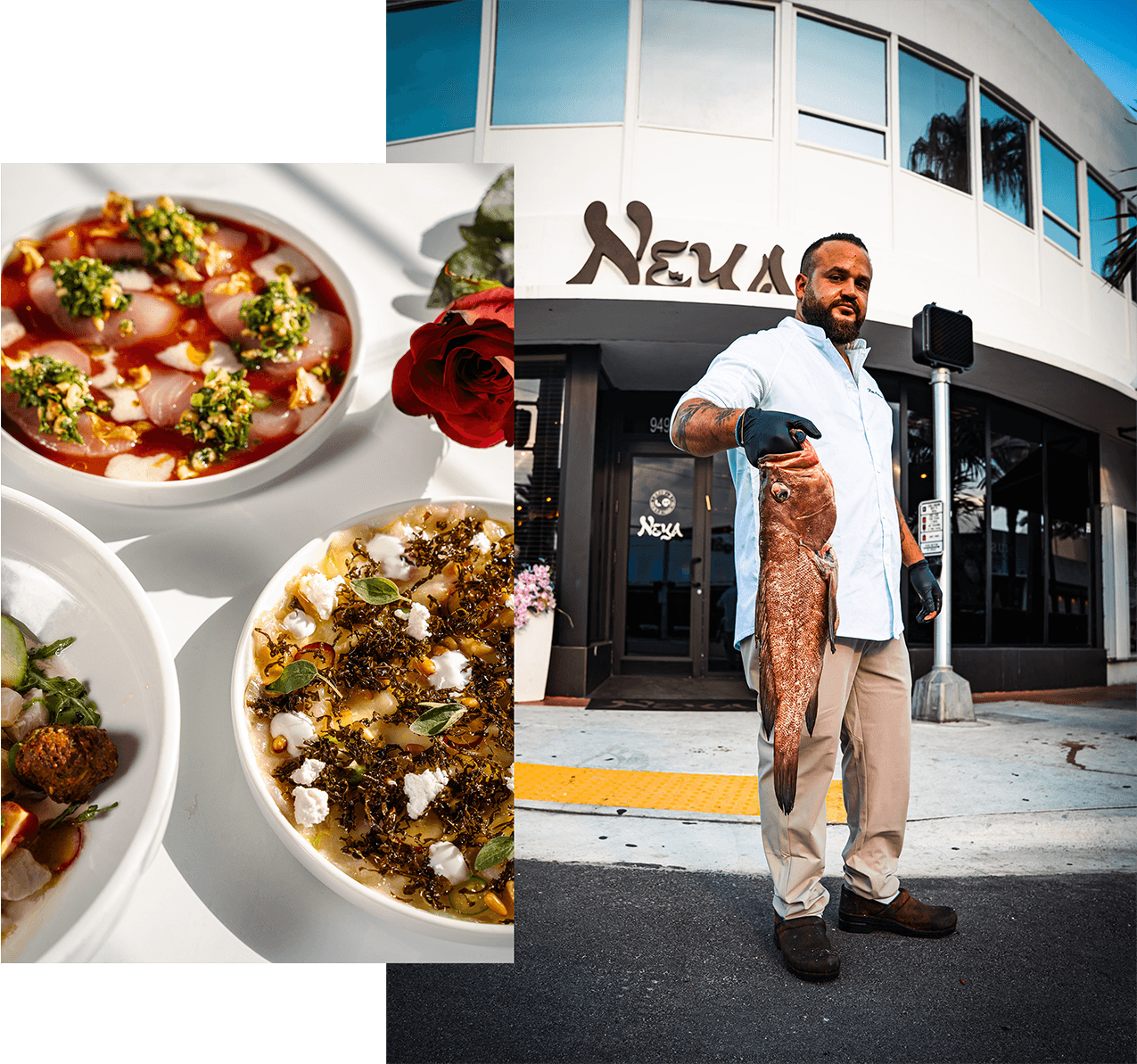 Neya Mediterranean Kosher Restaurant Comp1