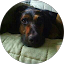 Meni B. Avatar